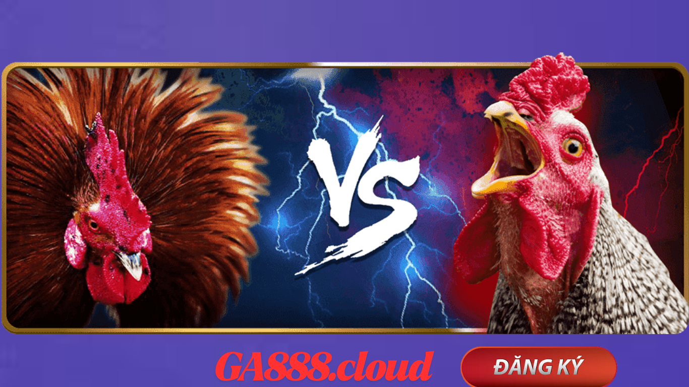 Hướng dẫn Đăng Ký  tham gia đá gà thomo tại GA888