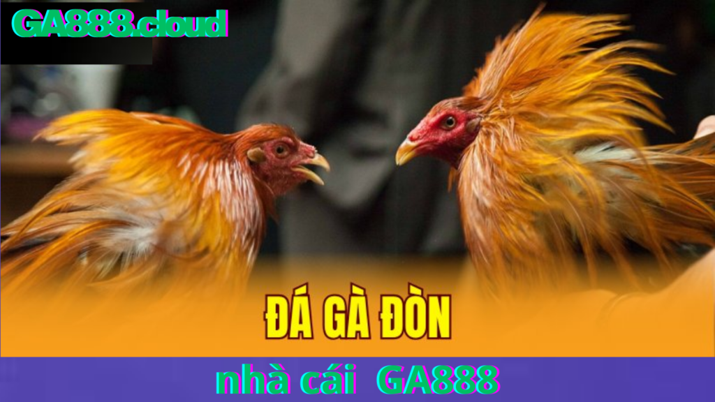 HƯỚNG DẪN ĐĂNG KÝ ĐÁ GÀ Thomo cpc , đá gà cựa sắt tại ga888